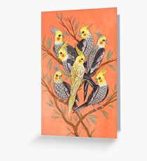 Cockatiel Fun Greeting Card