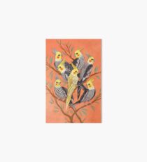 Cockatiel Fun Art Board