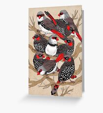 Firetails Greeting Card