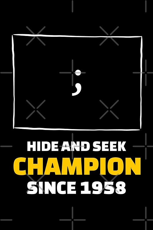 hide and seek champ ;