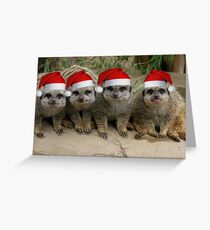 Have a Meerkat Christmas! Greeting Card