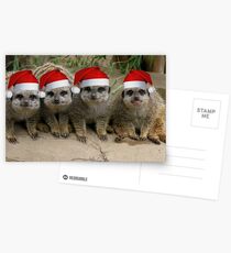 Have a Meerkat Christmas! Postcards