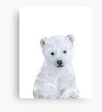 Kleiner Eisbär Metallbild