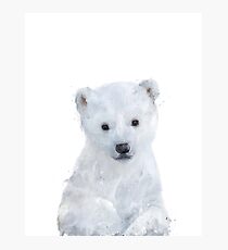 Kleiner Eisbär Fotodruck