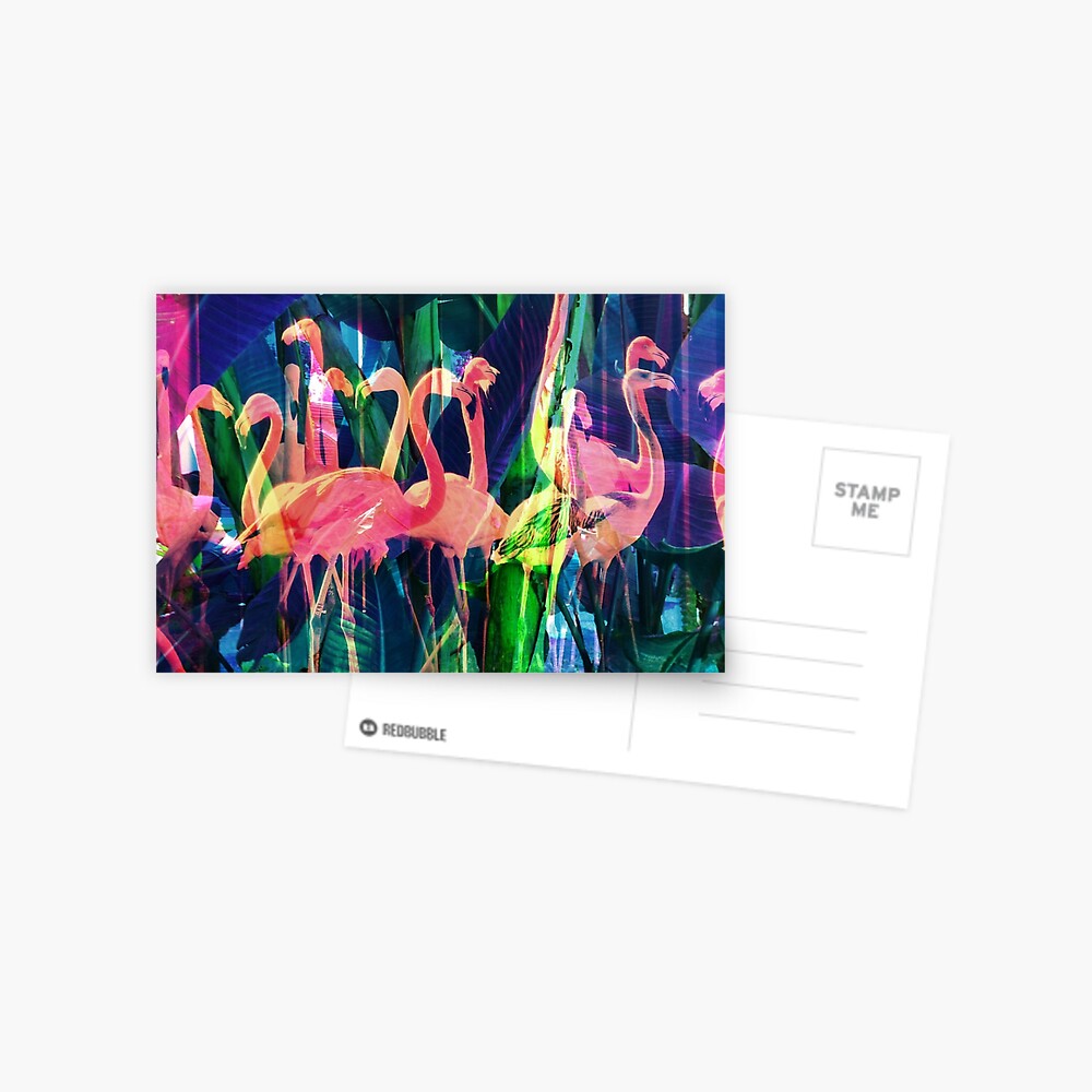 Flamingo Dance Postcard