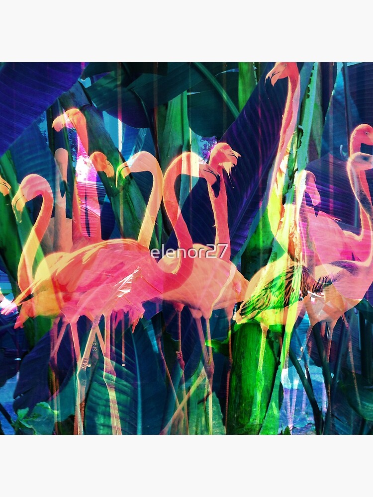 Flamingo Dance by elenor27