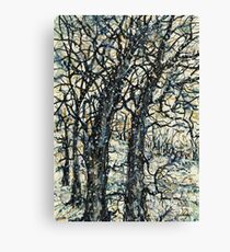 Winter Wonderland Canvas Print