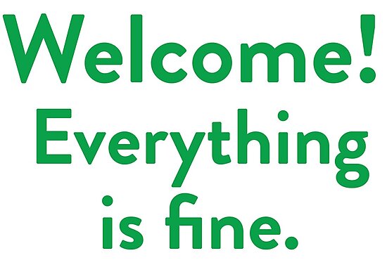 welcome everything is fine t shirt