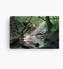 Preserve Light Canvas Print