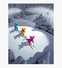 Back Country Bears 5 x 7 Photographic Print