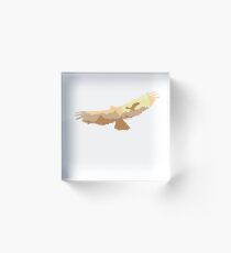 Soaring Outdoors Acrylic Block