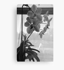 lonely Metal Print
