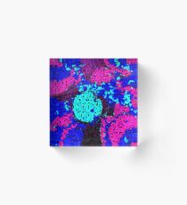 Pixelated Glitch (Pink) Acrylic Block