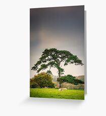 A dull day Greeting Card