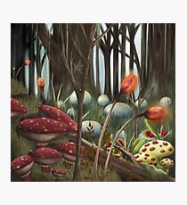 shadowfen Photographic Print