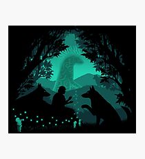 Forest Dwellers Photographic Print