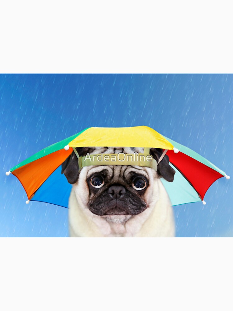 dog umbrella hat dog umbrella hat