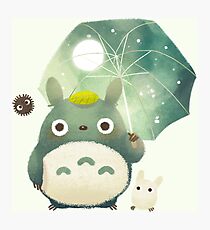 totoro Photographic Print
