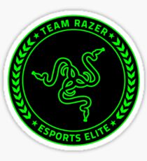 Razer Team Kit Sticker