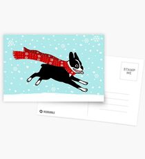 Holiday Boston Terrier Wearing Winter Scarf Postcards