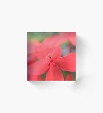 It's all in the details! Acrylic Block