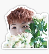 Flower Woozi Sticker