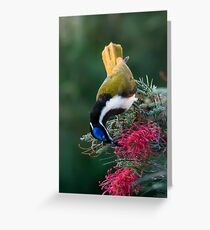 DSC4294 Greeting Card