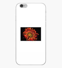 Stenocarpus sinuatus iPhone Case