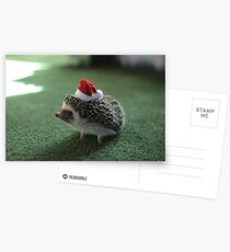 Cute Hedgehog Postcards