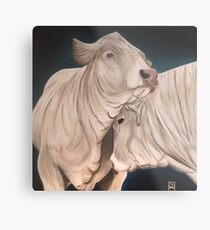 Bulls Metal Print