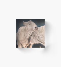 Bulls Acrylic Block