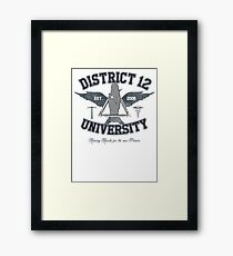 District 12 University Framed Print