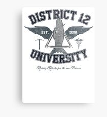 District 12 University Metal Print