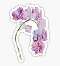 Pegatina Orquídea