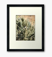 Sage Sparrow Framed Print