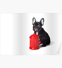 Fireman Poster