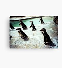 Penguin party Canvas Print