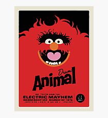 Animal Poster Photographic Print