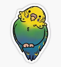 Rainbow parakeet Sticker