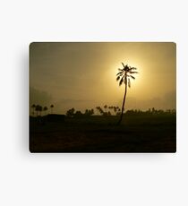 The Halo Tree Canvas Print
