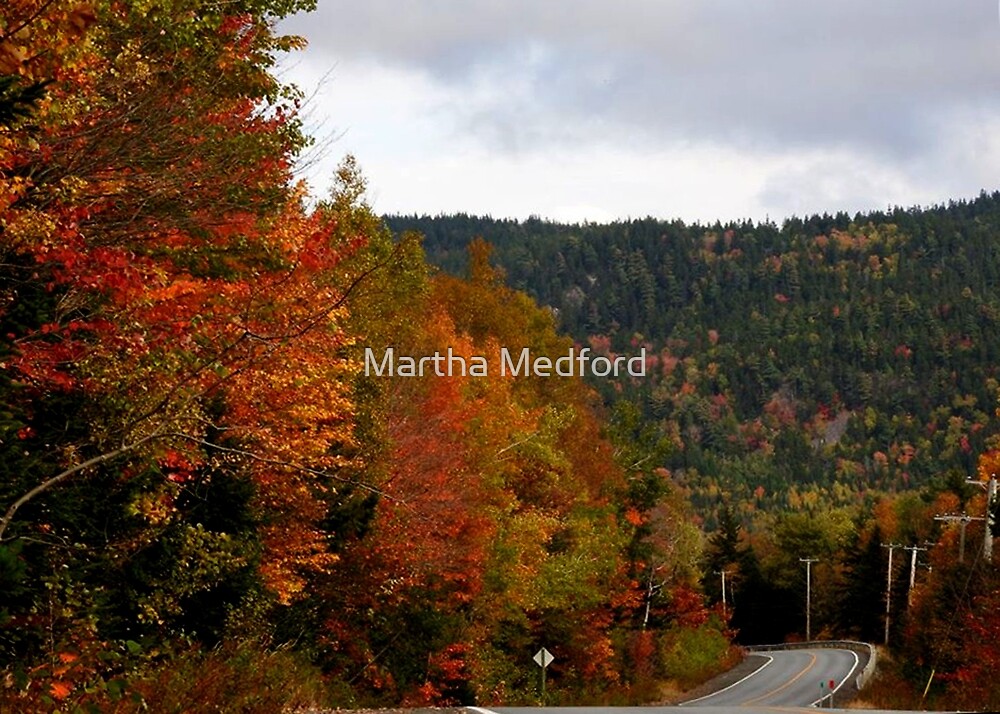 "Eagles Rest, Welsford, New Brunswick" by Martha Medford Redbubble