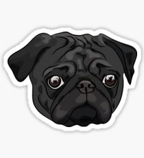 Cute black pug portrait Sticker