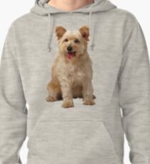 Cute dog Pullover Hoodie