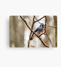 Works for peanuts Canvas Print