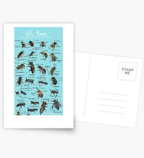 UK Bee Board Postcards