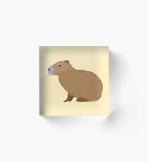 Capybara Acrylic Block
