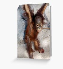 Hanging Around Greeting Card