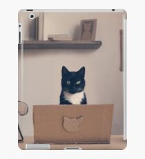 Eco Friendly Corporate Cat iPad Case/Skin