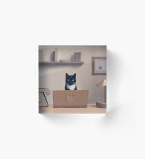 Eco Friendly Corporate Cat Acrylic Block