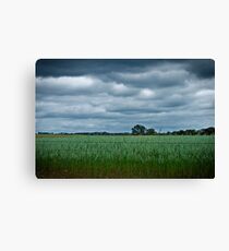 Farmland Canvas Print